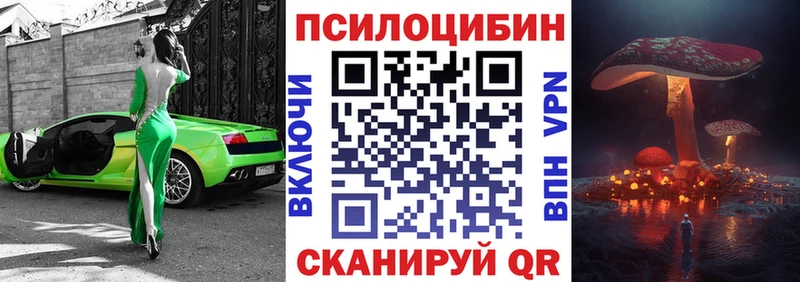 Псилоцибиновые грибы Psilocybe  Уяр 